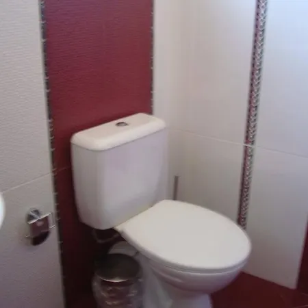 Polina סוזופול